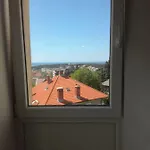Niki *